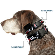 Grateful Dead Dog Collar | Stars & Stripes + Text