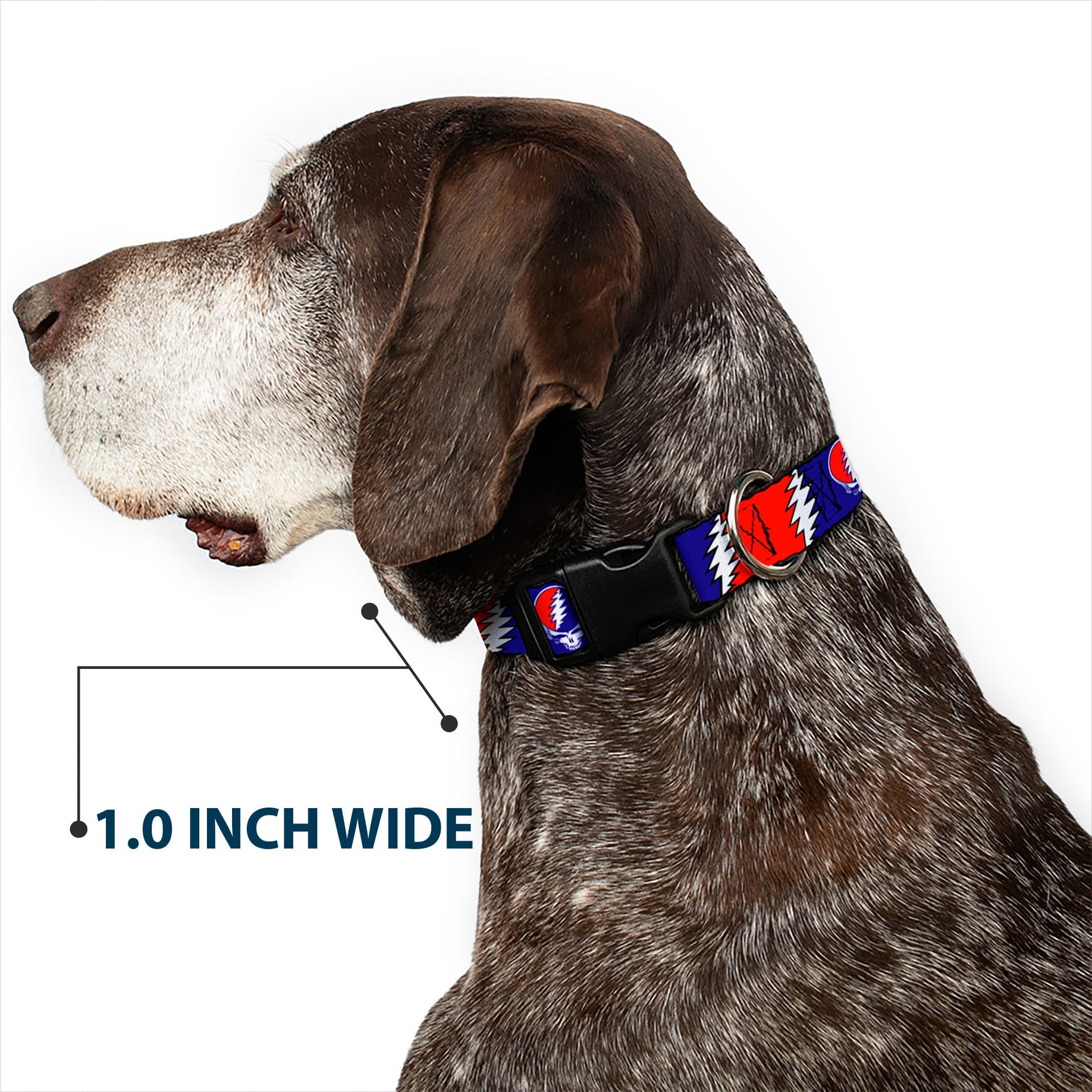 Grateful Dead Dog Collar | Steal Your Face + Large Lightning Bolt