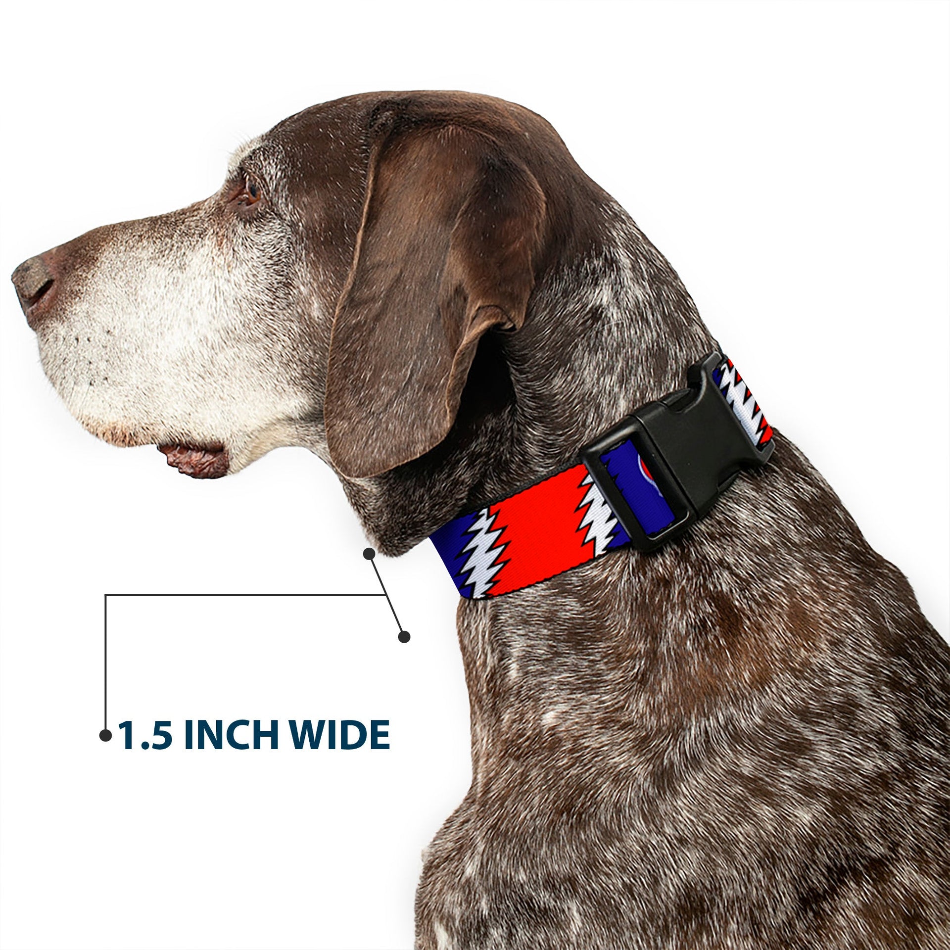 Grateful Dead Dog Collar | Steal Your Face + Large Lightning Bolt