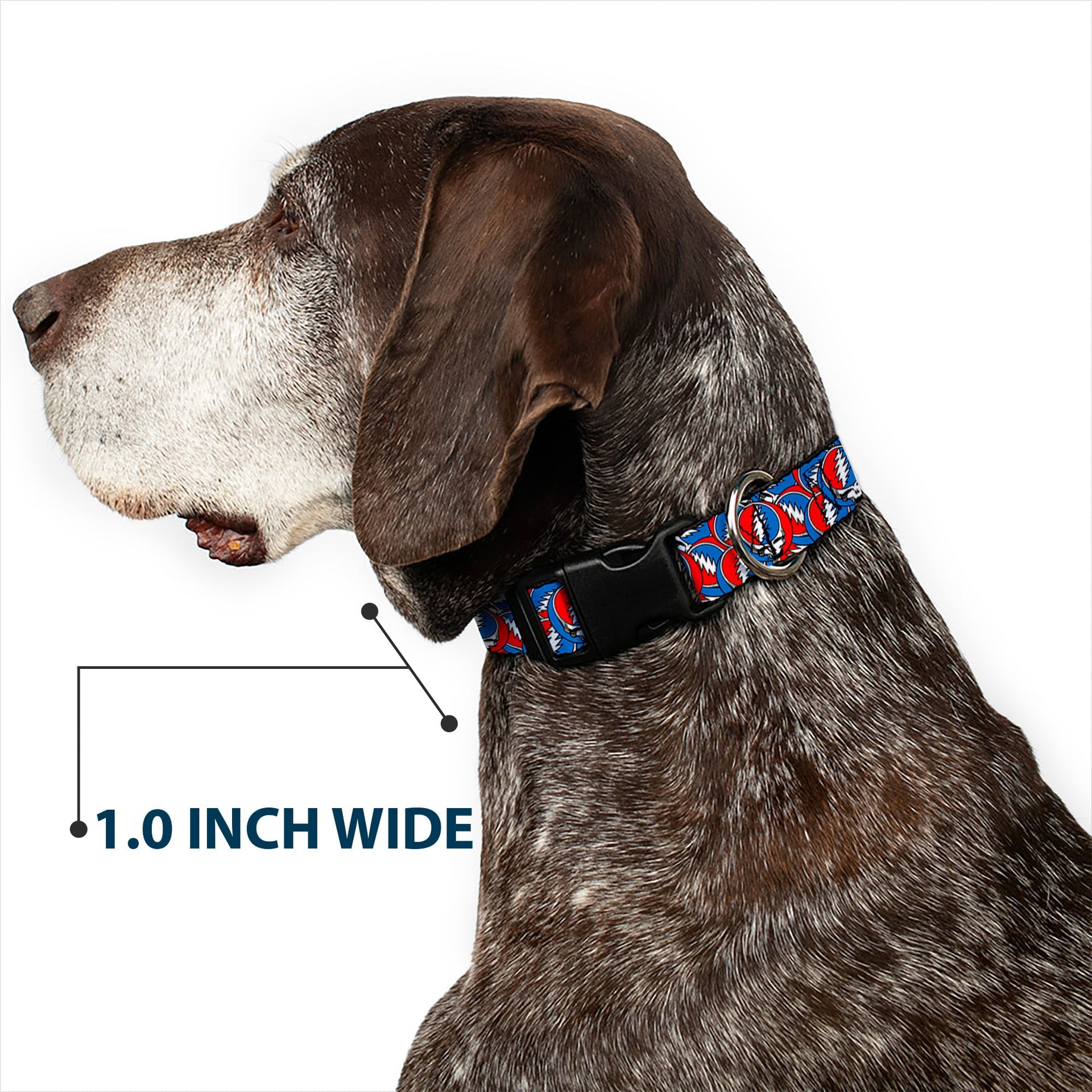 Grateful Dead Dog Collar | Steal Your Face Stacked (Classic Blue)