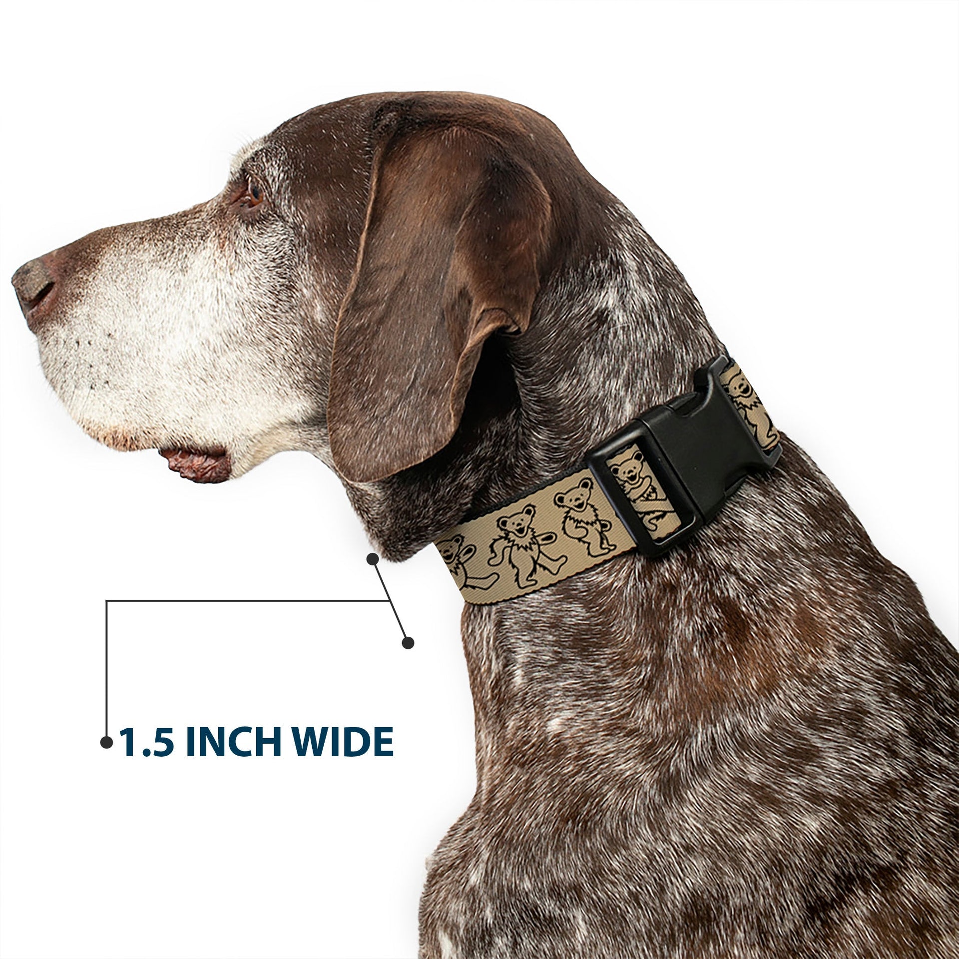 Grateful Dead Dog Collar | Tan/Black Dancing Bears