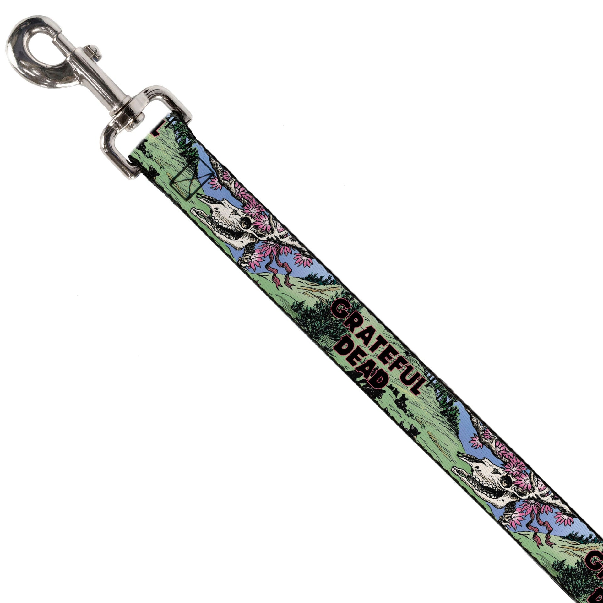 Grateful Dead Dog Leash | Dave's Picks Vol. 9 Art