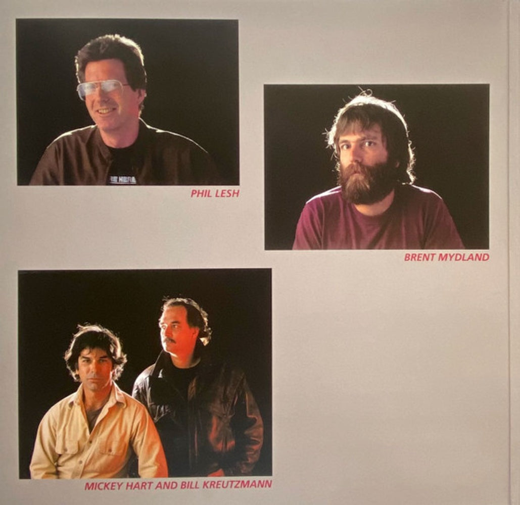 Grateful Dead – In The Dark (LP Vinyl) - Alternate View
