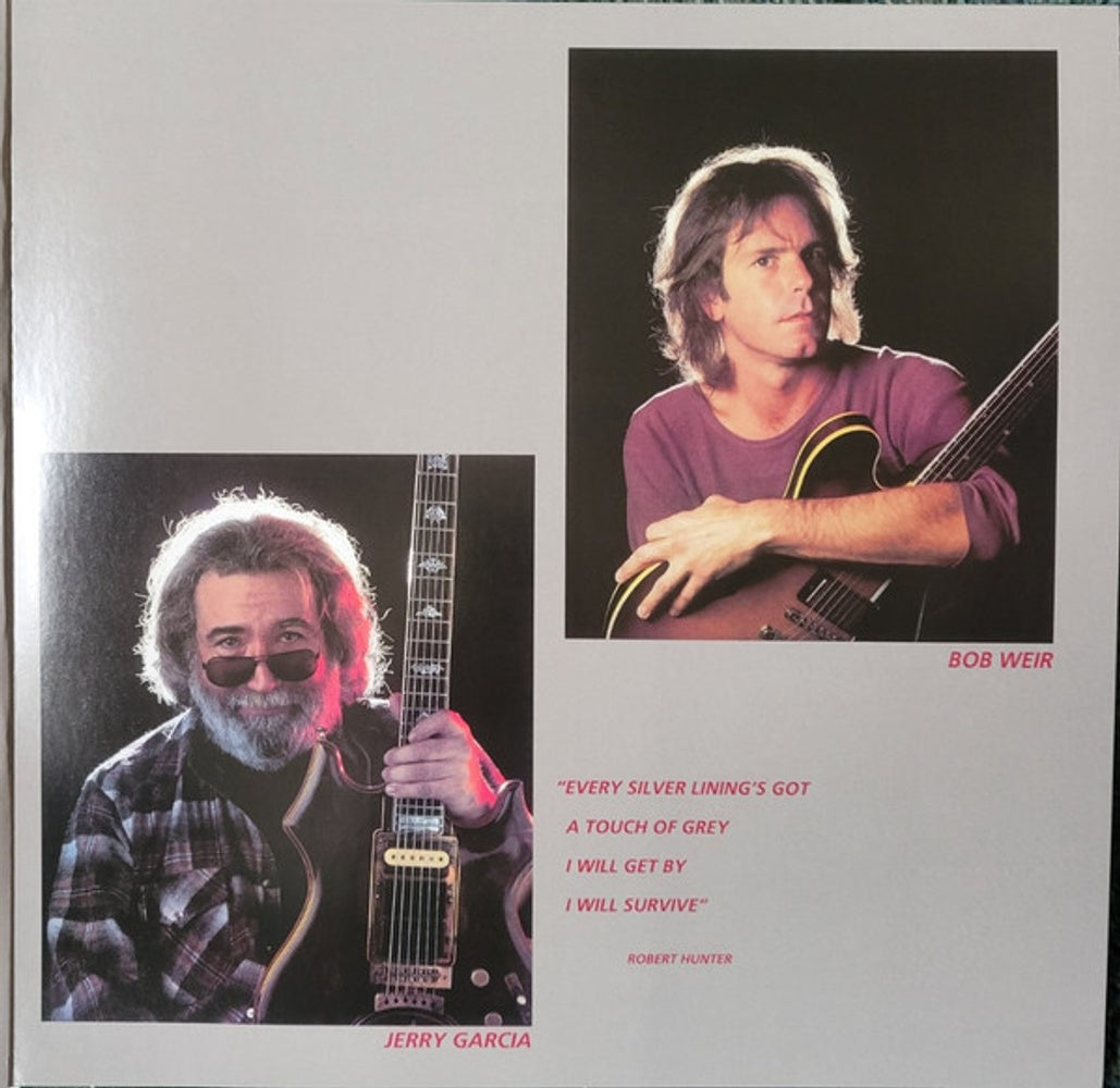 Grateful Dead – In The Dark (LP Vinyl) - Close-Up
