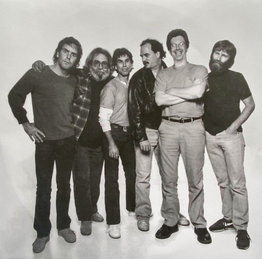 Grateful Dead – In The Dark (LP Vinyl) - Side View