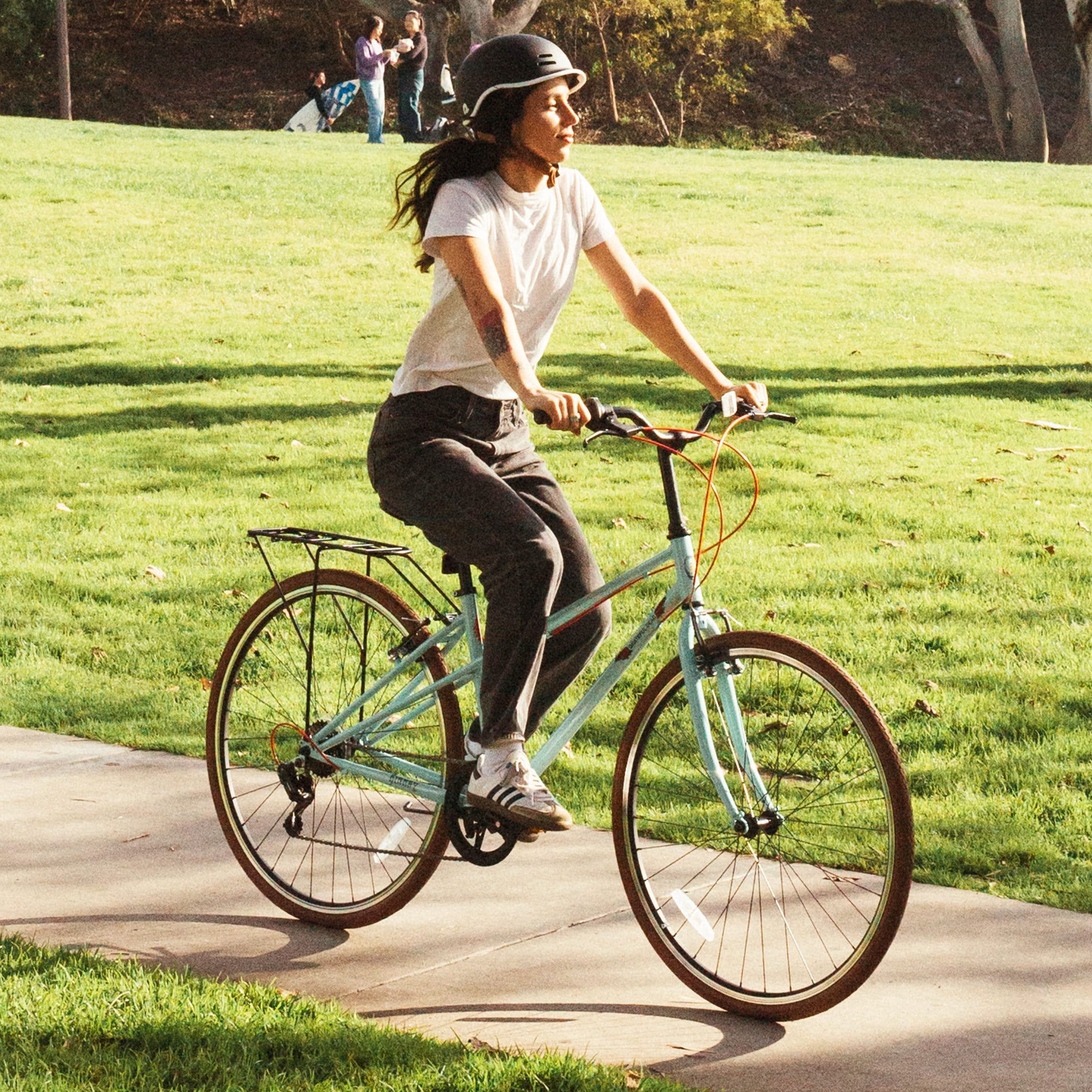 Grateful Dead Kinney Mixte City Bike (7 Speed)