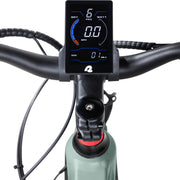 Grateful Dead Koa Rev+ 2 Fat Tire Electric Bike