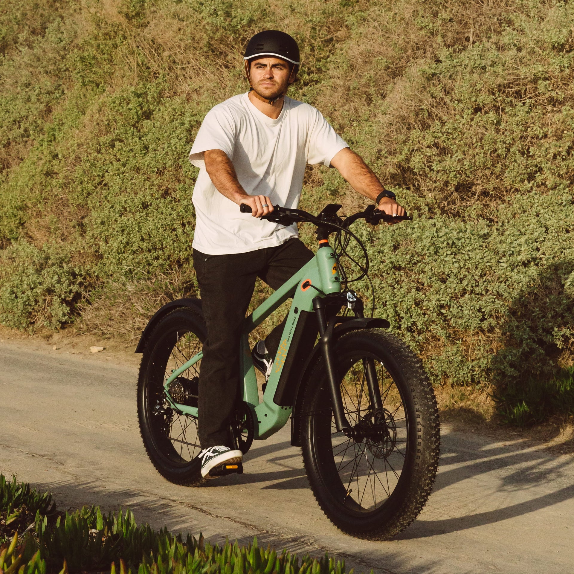Grateful Dead Koa Rev+ 2 Fat Tire Electric Bike