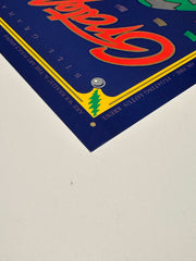 Grateful Dead Mardi Gras 1993 Poster
