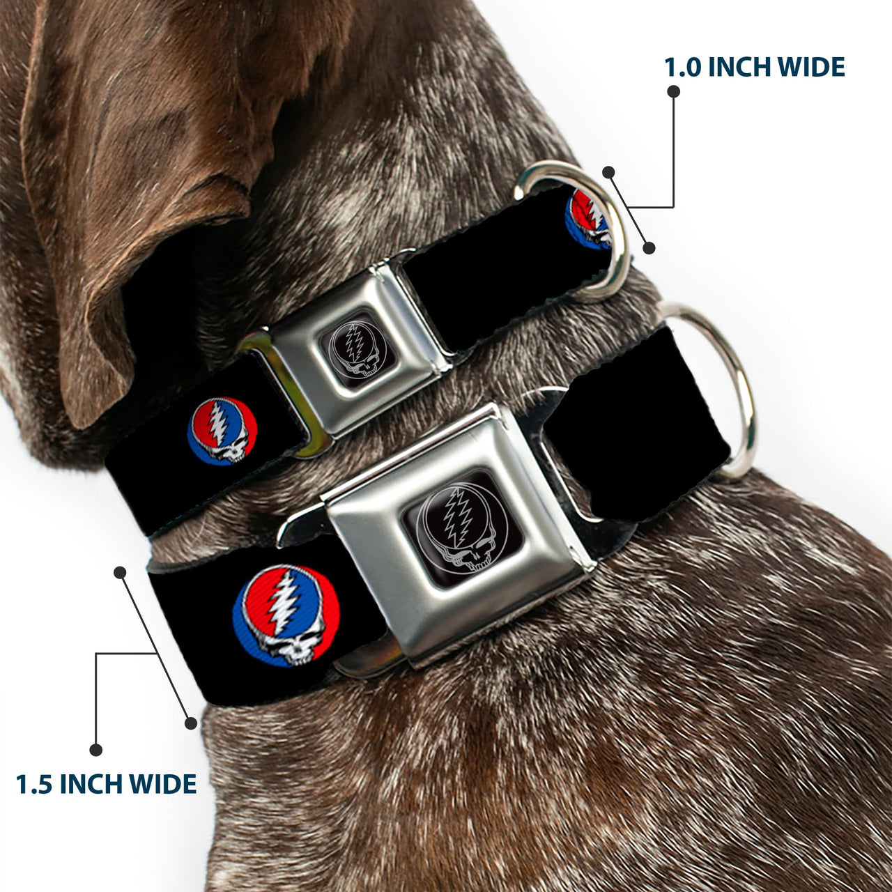 Grateful Dead Seatbelt Buckle Pet Collar | Black Steal Your Face (Steal Your Face Buckle)