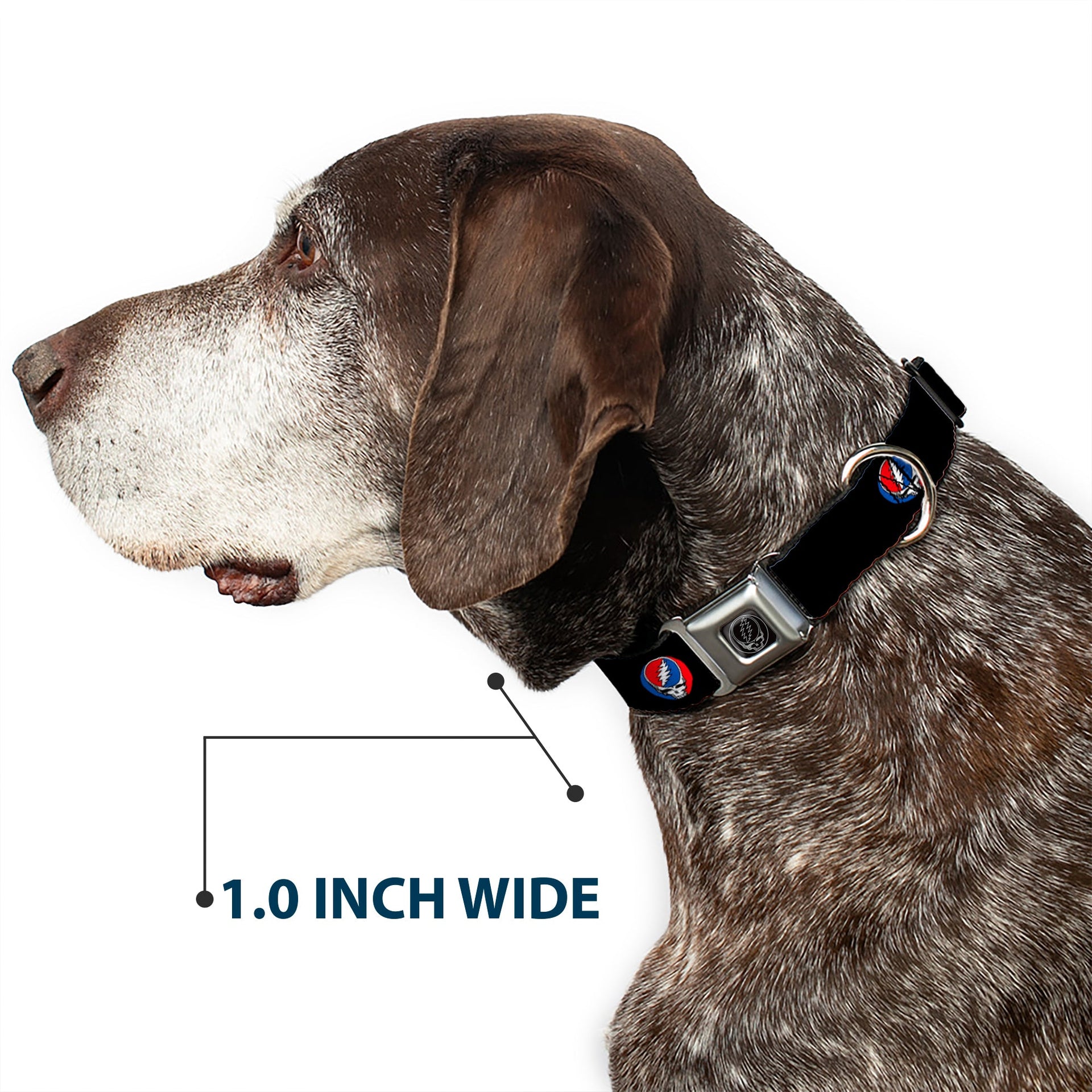 Grateful Dead Seatbelt Buckle Pet Collar | Black Steal Your Face (Steal Your Face Buckle)
