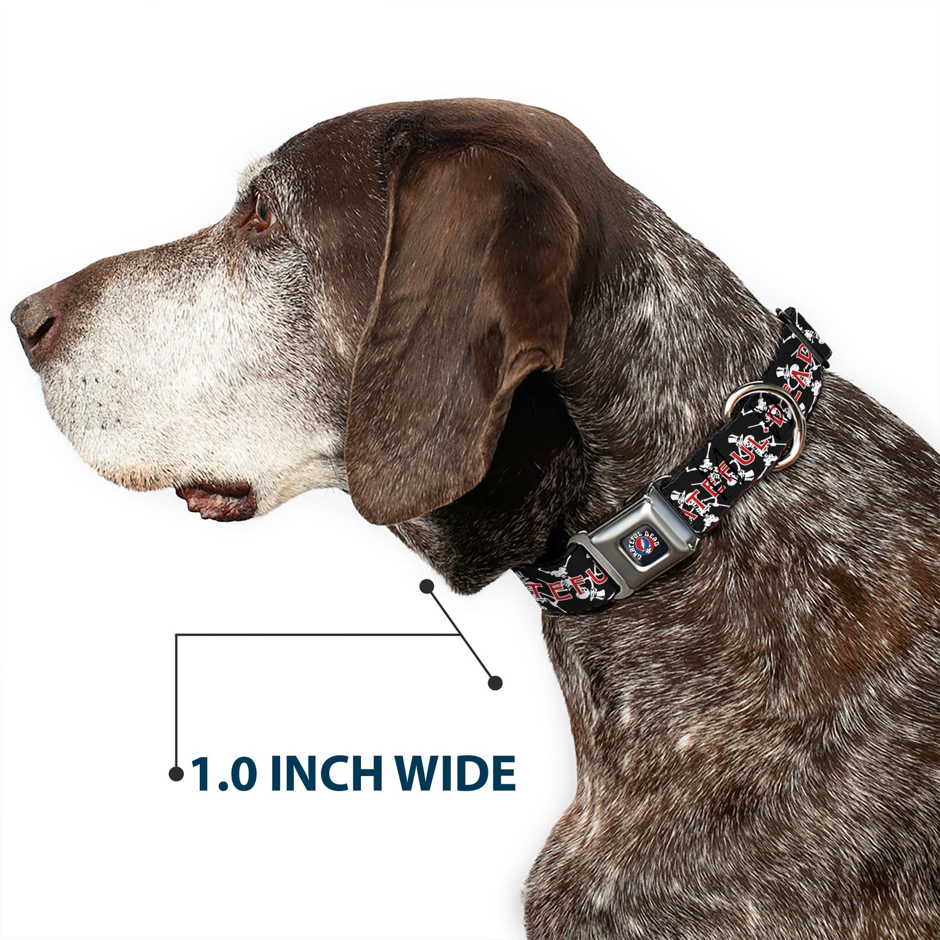 Grateful Dead Seatbelt Buckle Pet Collar | Black Text + Dancing Skeletons (Steal Your Face Collar)