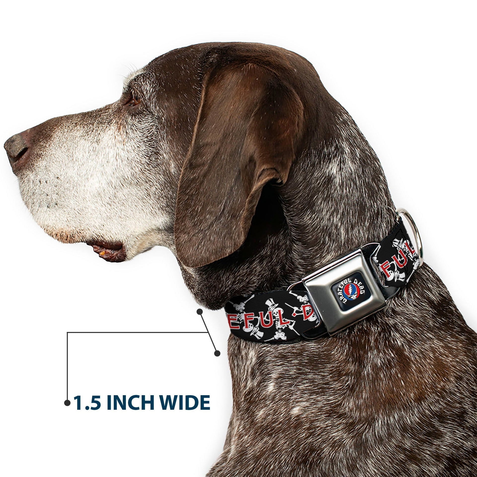 Grateful Dead Seatbelt Buckle Pet Collar | Black Text + Dancing Skeletons (Steal Your Face Collar)