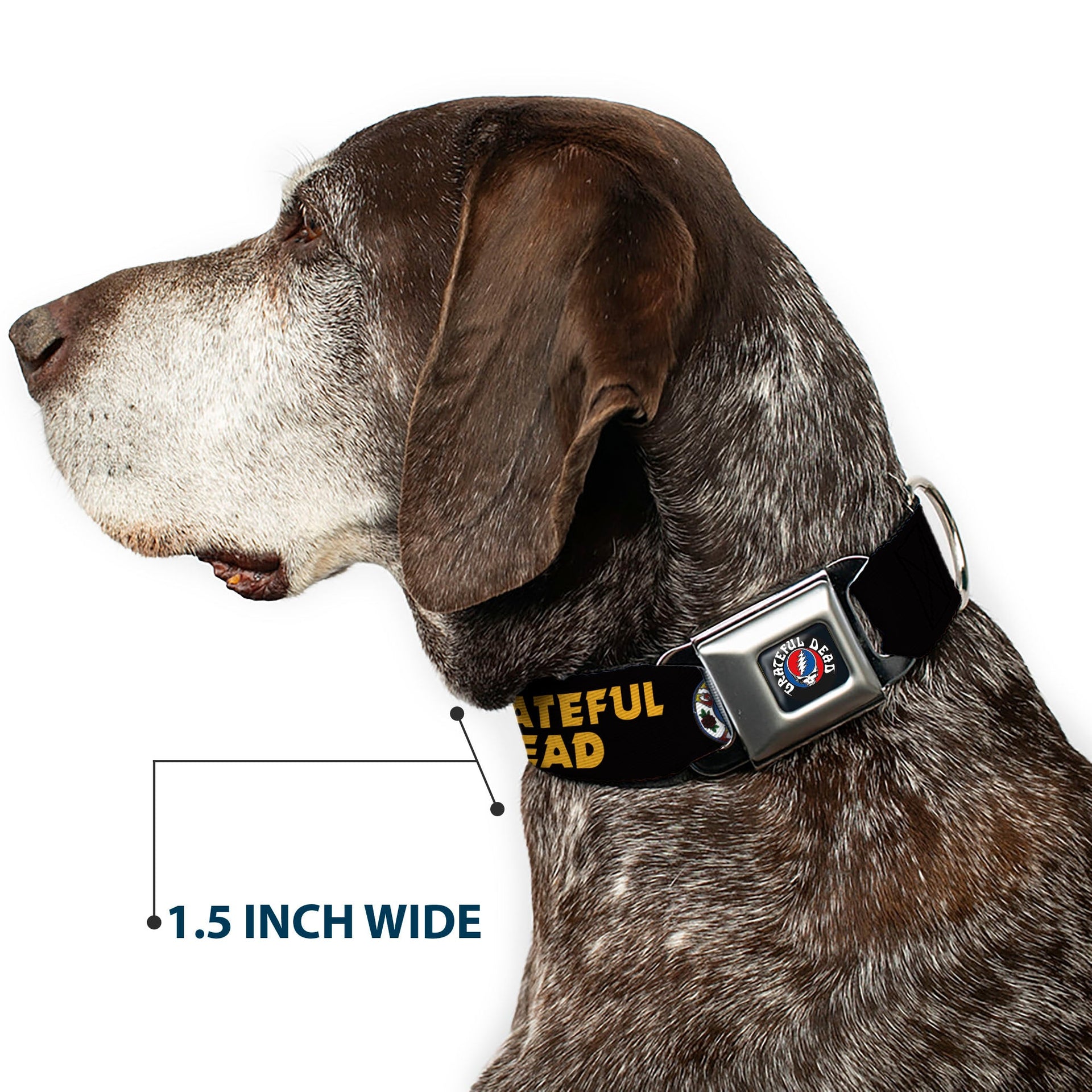 Grateful Dead Seatbelt Buckle Pet Collar | Black/Yellow Text + Skull & Roses (Steal Your Face Buckle)