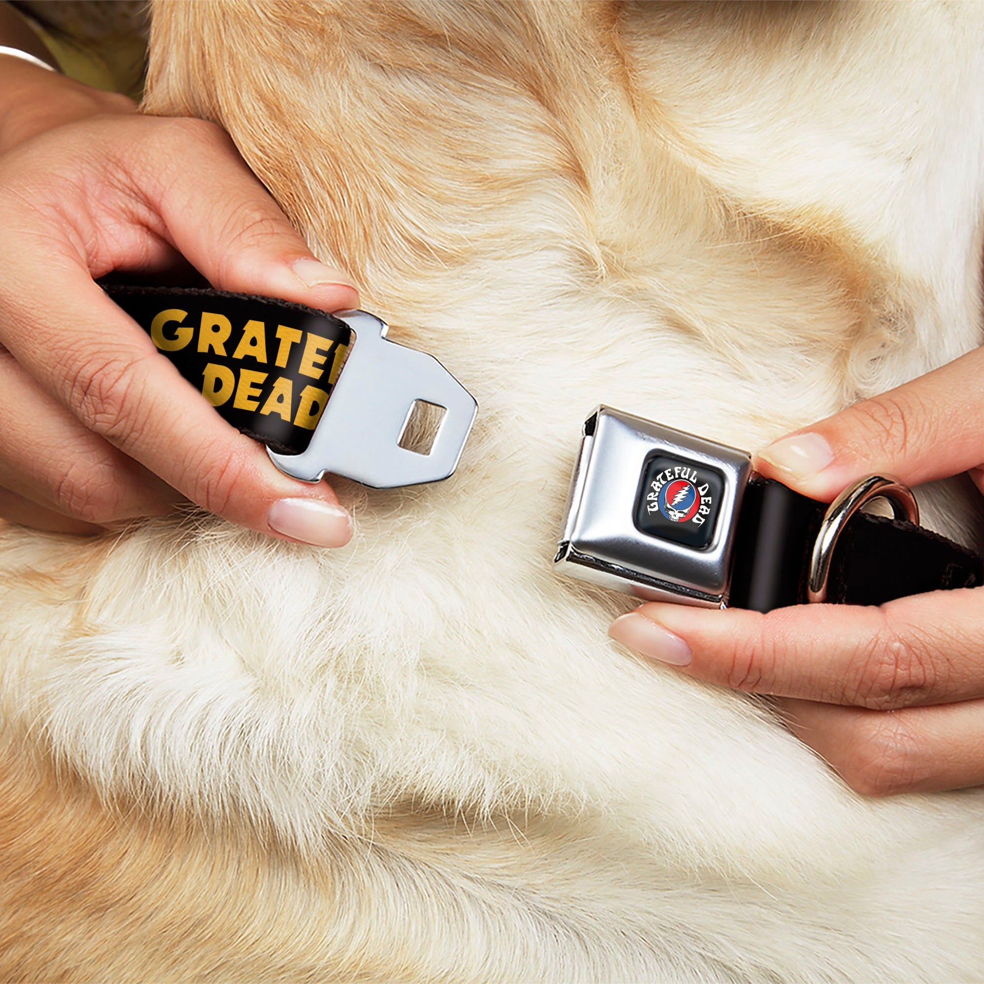 Grateful Dead Seatbelt Buckle Pet Collar | Black/Yellow Text + Skull & Roses (Steal Your Face Buckle)