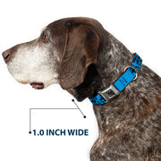 Grateful Dead Seatbelt Buckle Pet Collar | Blue/Black Text + Skull & Roses (Steal Your Face Buckle)