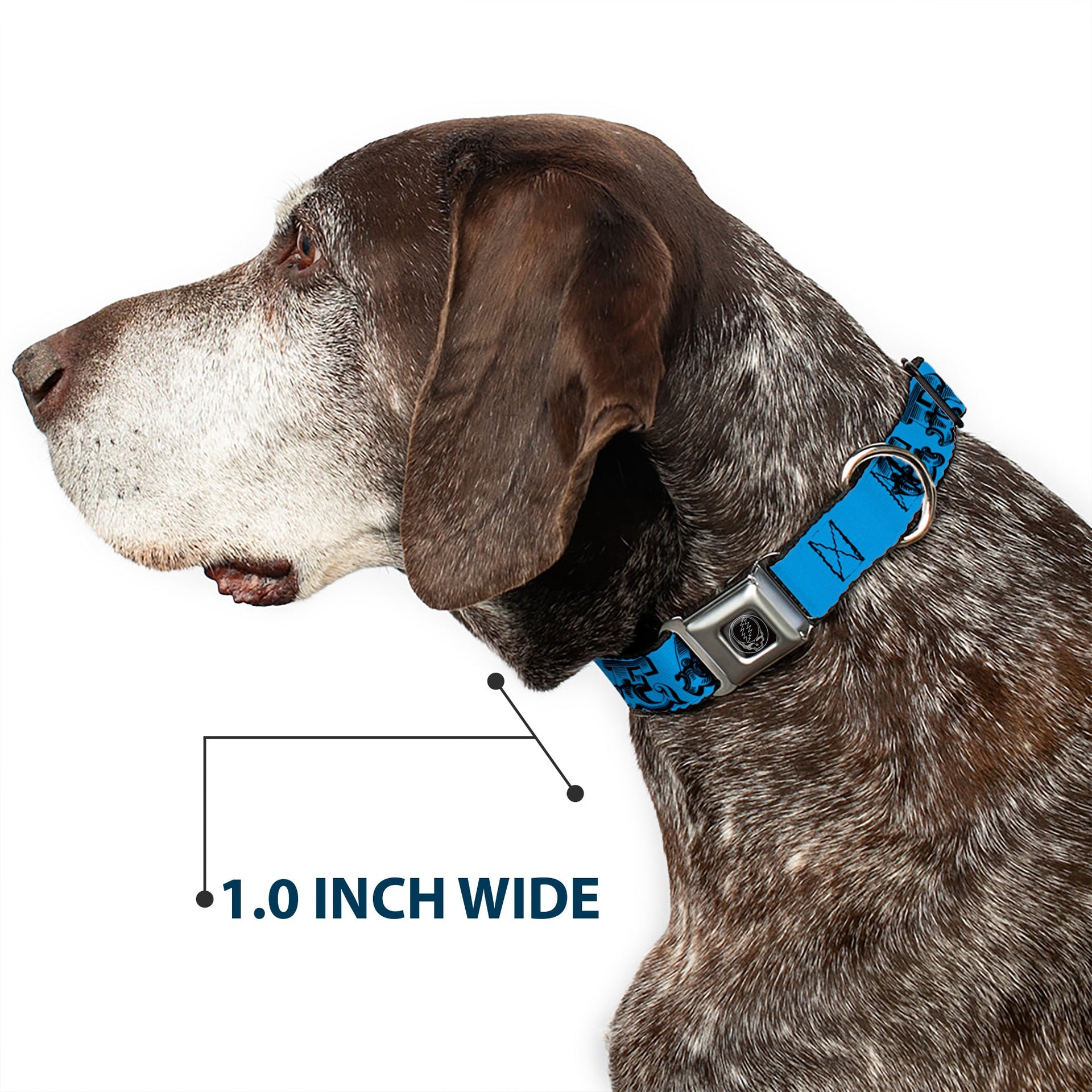 Grateful Dead Seatbelt Buckle Pet Collar | Blue/Black Text + Skull & Roses (Steal Your Face Buckle)
