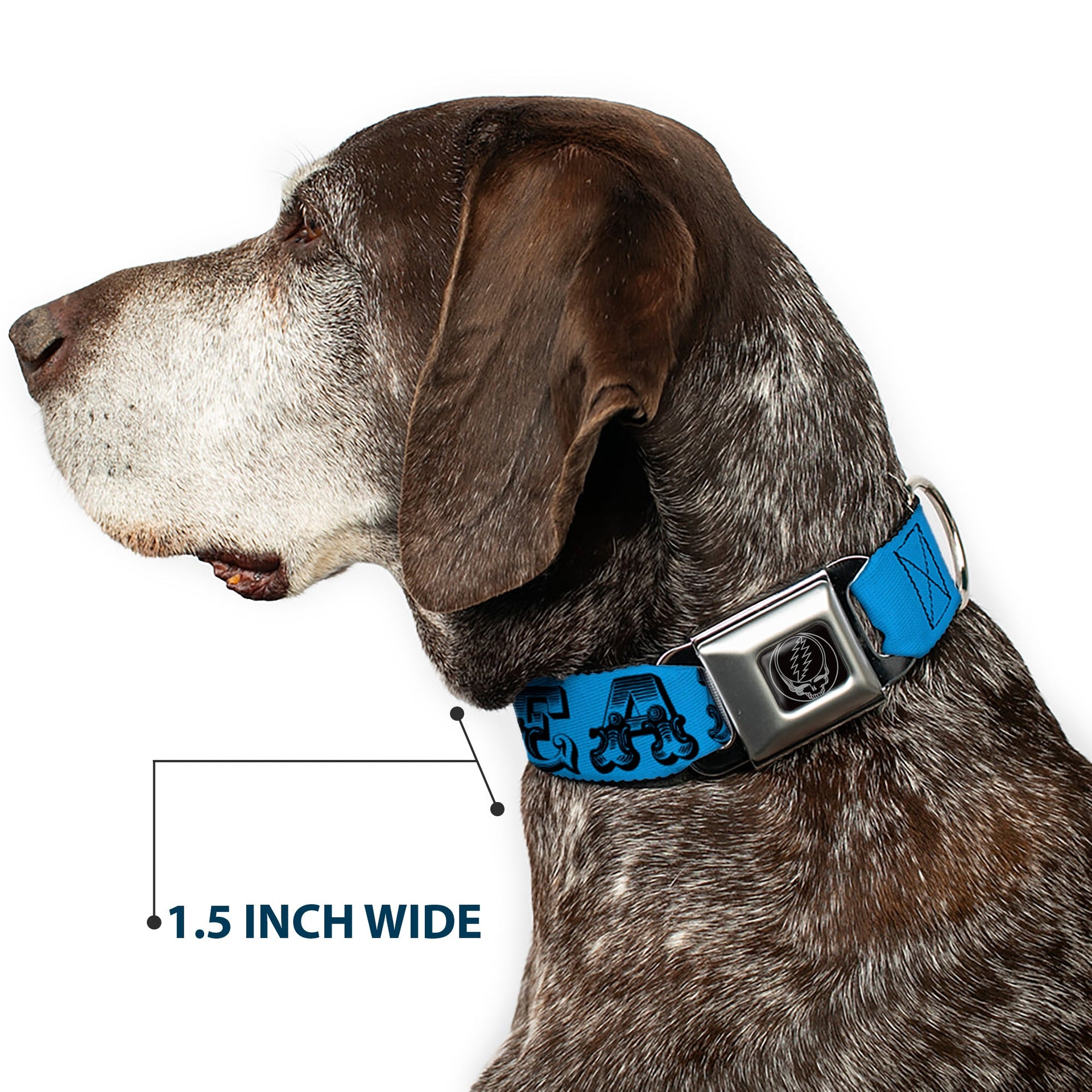 Grateful Dead Seatbelt Buckle Pet Collar | Blue/Black Text + Skull & Roses (Steal Your Face Buckle)