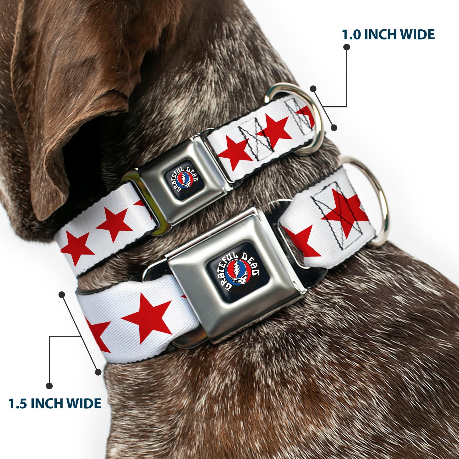 Grateful Dead Seatbelt Buckle Pet Collar | Blue/White "Good Ol' Grateful Dead" Text + Stars (Steal Your Face Buckle)