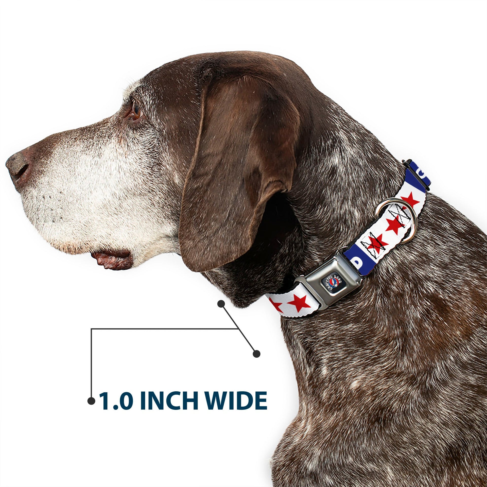 Grateful Dead Seatbelt Buckle Pet Collar | Blue/White "Good Ol' Grateful Dead" Text + Stars (Steal Your Face Buckle)