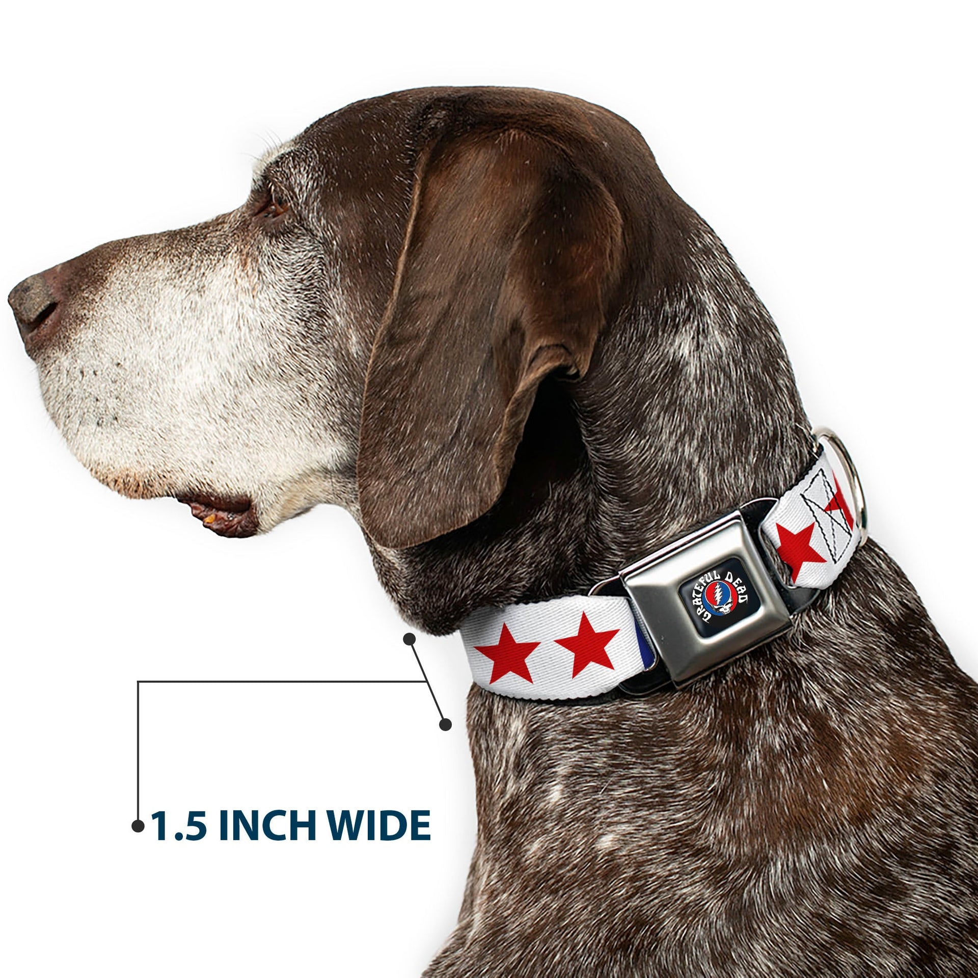 Grateful Dead Seatbelt Buckle Pet Collar | Blue/White "Good Ol' Grateful Dead" Text + Stars (Steal Your Face Buckle)