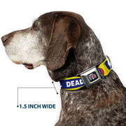Grateful Dead Seatbelt Buckle Pet Collar | Blue/Yellow Text + Steal Your Face (Steal Your Face Buckle)