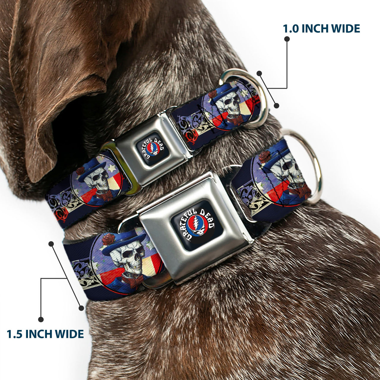 Grateful Dead Seatbelt Buckle Pet Collar | Dave's Picks Skeleton Art (Steal Your Face Buckle)