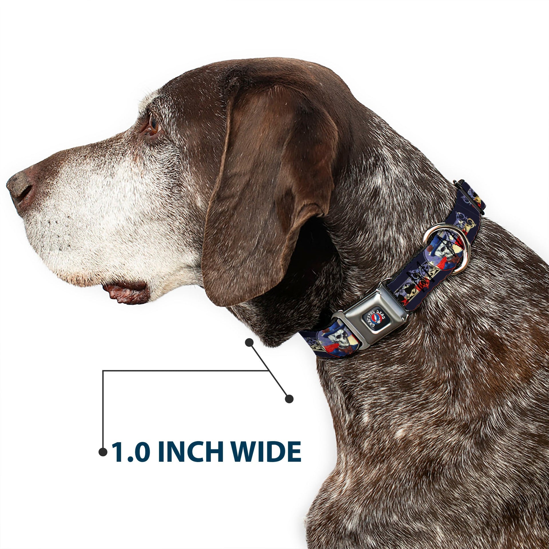 Grateful Dead Seatbelt Buckle Pet Collar | Dave's Picks Skeleton Art (Steal Your Face Buckle)