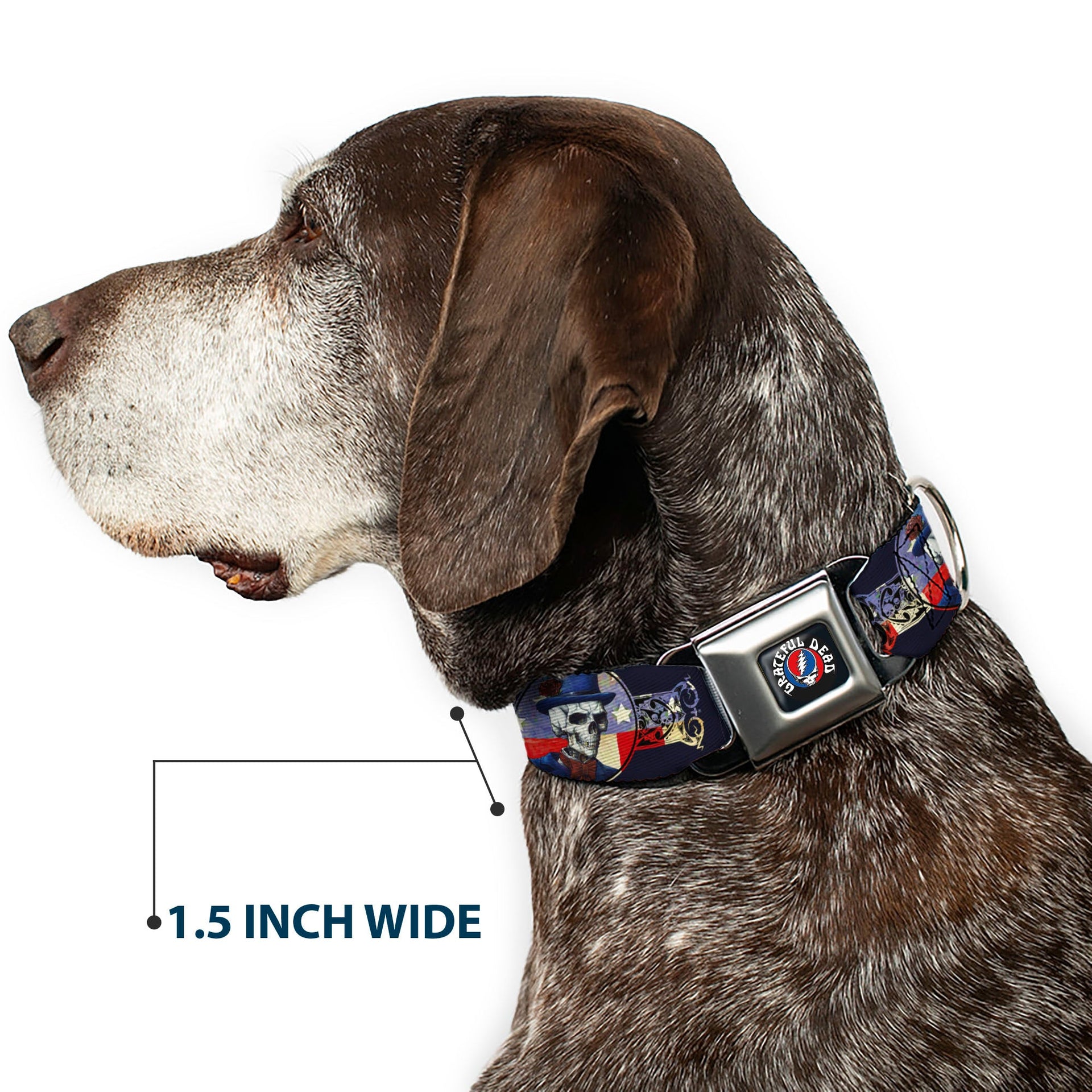 Grateful Dead Seatbelt Buckle Pet Collar | Dave's Picks Skeleton Art (Steal Your Face Buckle)
