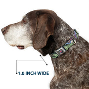 Grateful Dead Seatbelt Buckle Pet Collar | Dave's Picks Vol. 9 Art (Steal Your Face Buckle)