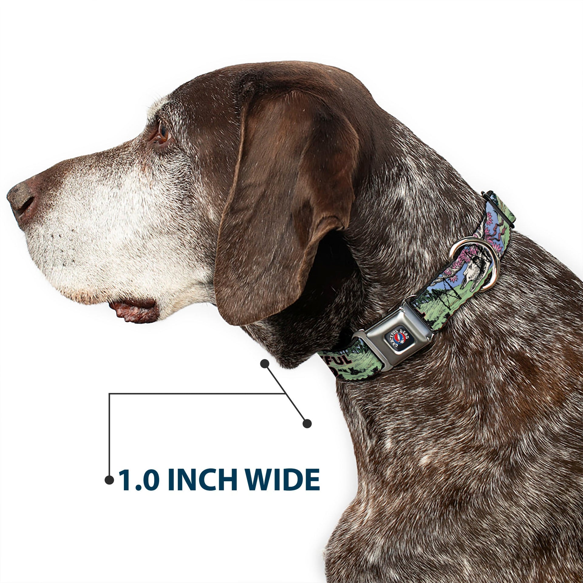 Grateful Dead Seatbelt Buckle Pet Collar | Dave's Picks Vol. 9 Art (Steal Your Face Buckle)