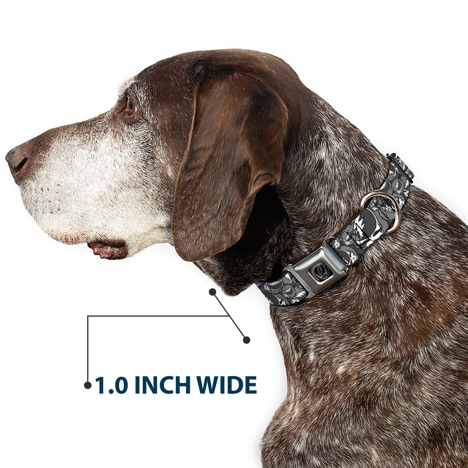 Grateful Dead Seatbelt Buckle Pet Collar | Gray Steal Your Face Stacked (Steal Your Face Buckle)