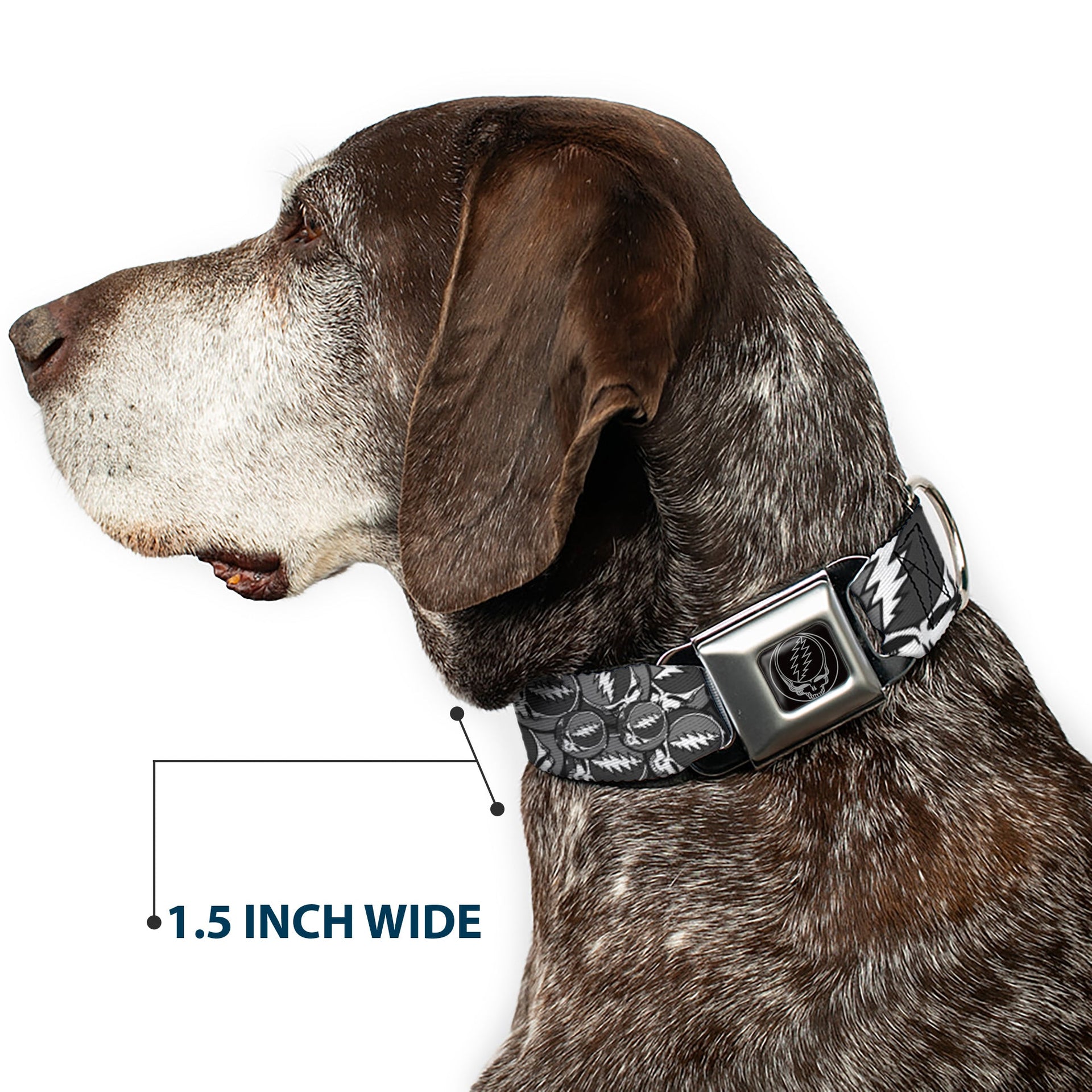 Grateful Dead Seatbelt Buckle Pet Collar | Gray Steal Your Face Stacked (Steal Your Face Buckle)