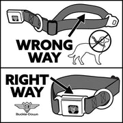 Grateful Dead Seatbelt Buckle Pet Collar | Hemp/Black Dancing Bears (Dancing Bear Buckle)