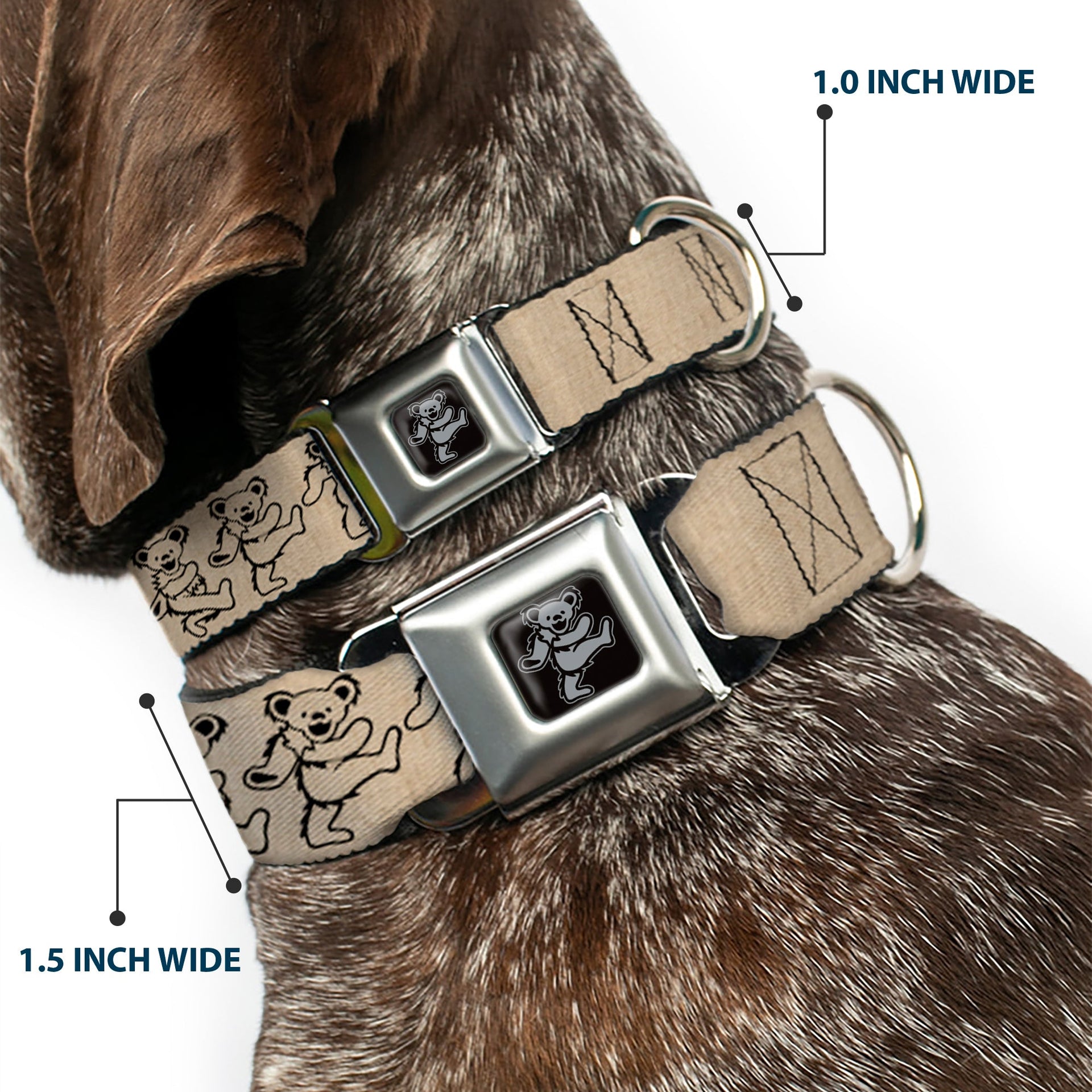 Grateful Dead Seatbelt Buckle Pet Collar | Hemp/Black Dancing Bears (Dancing Bear Buckle)