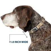 Grateful Dead Seatbelt Buckle Pet Collar | Hemp/Black Dancing Bears (Dancing Bear Buckle)