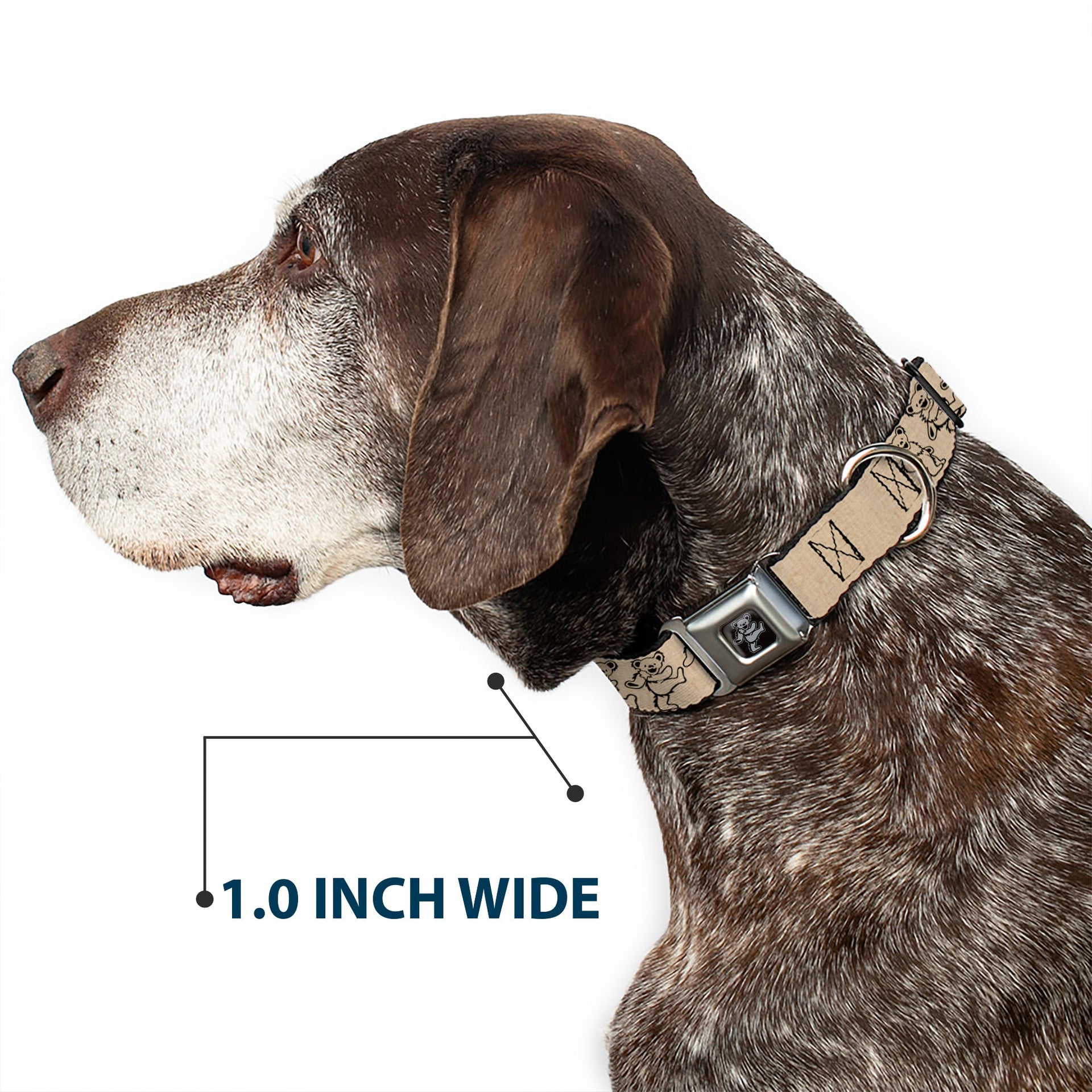 Grateful Dead Seatbelt Buckle Pet Collar | Hemp/Black Dancing Bears (Dancing Bear Buckle)