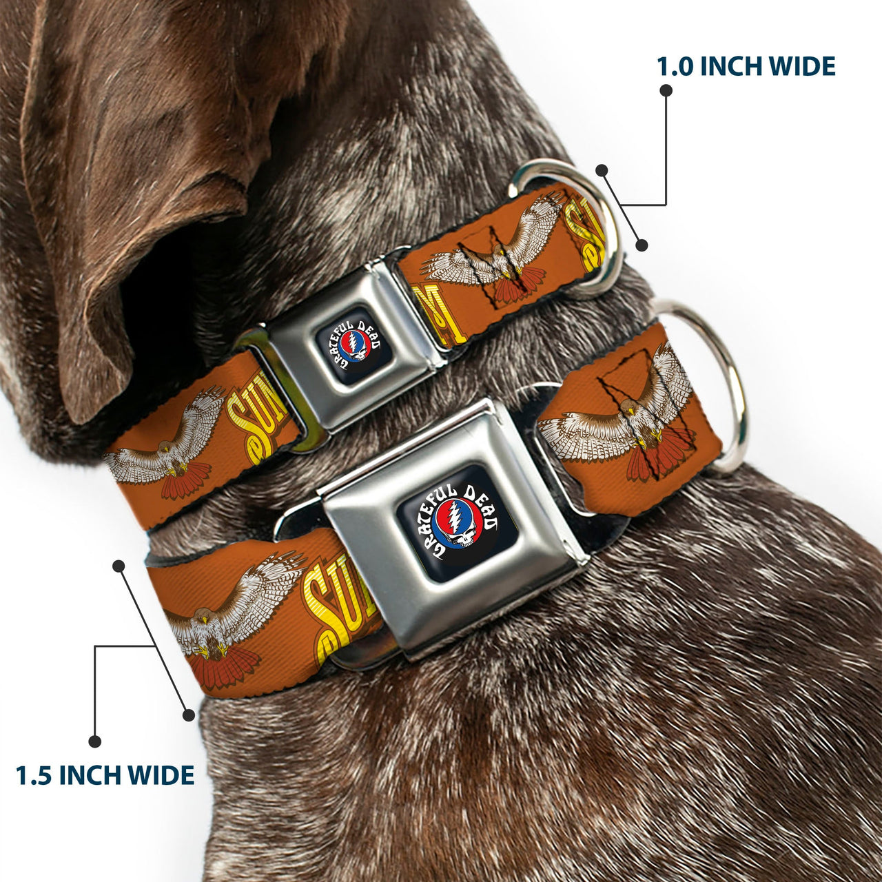 Grateful Dead Seatbelt Buckle Pet Collar | Orange Sunshine Daydream (Steal Your Face Buckle)