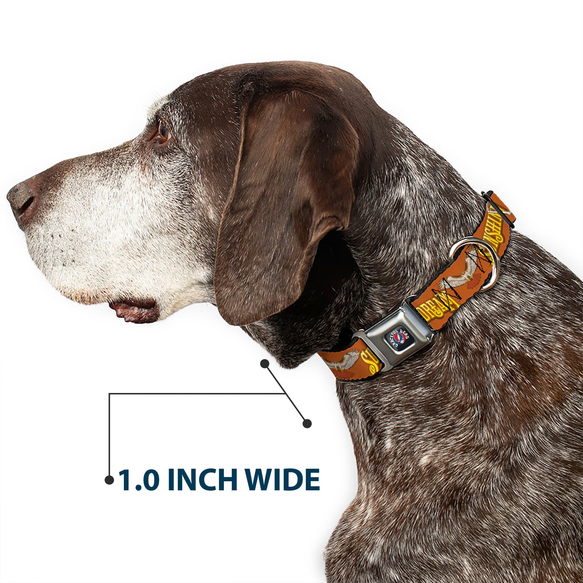 Grateful Dead Seatbelt Buckle Pet Collar | Orange Sunshine Daydream (Steal Your Face Buckle)