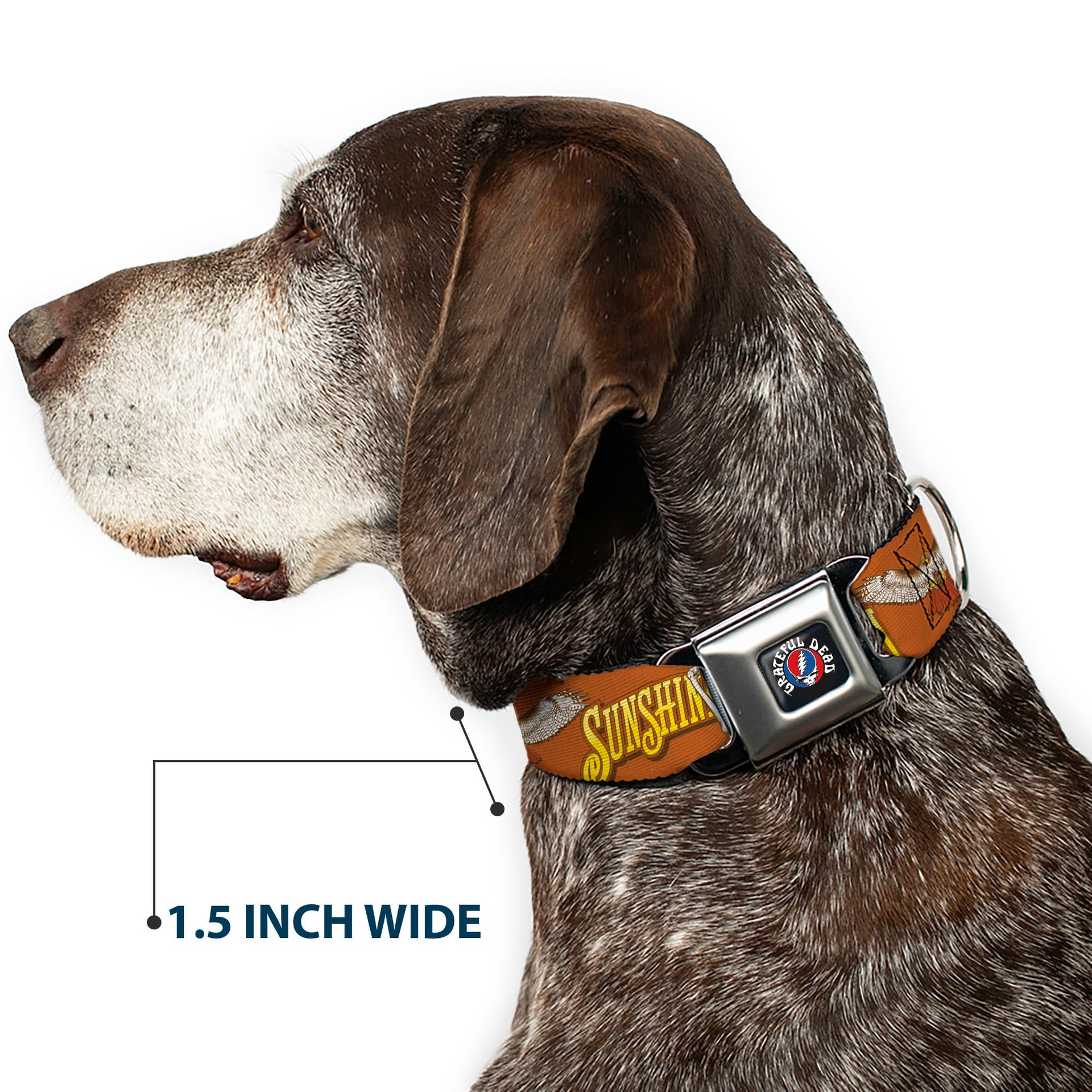 Grateful Dead Seatbelt Buckle Pet Collar | Orange Sunshine Daydream (Steal Your Face Buckle)
