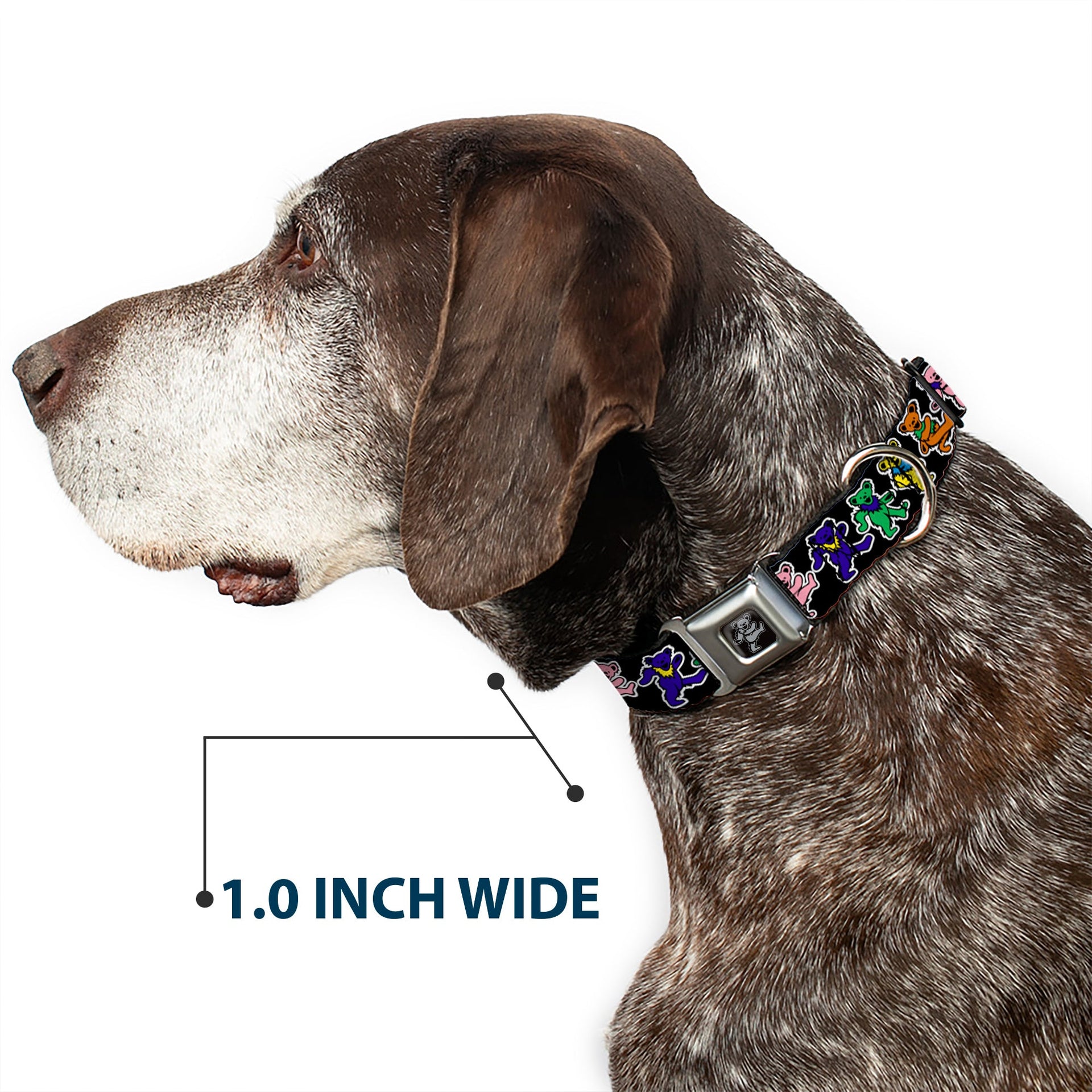 Grateful Dead Seatbelt Buckle Pet Collar | Rainbow Dancing Bears (Dancing Bear Buckle)