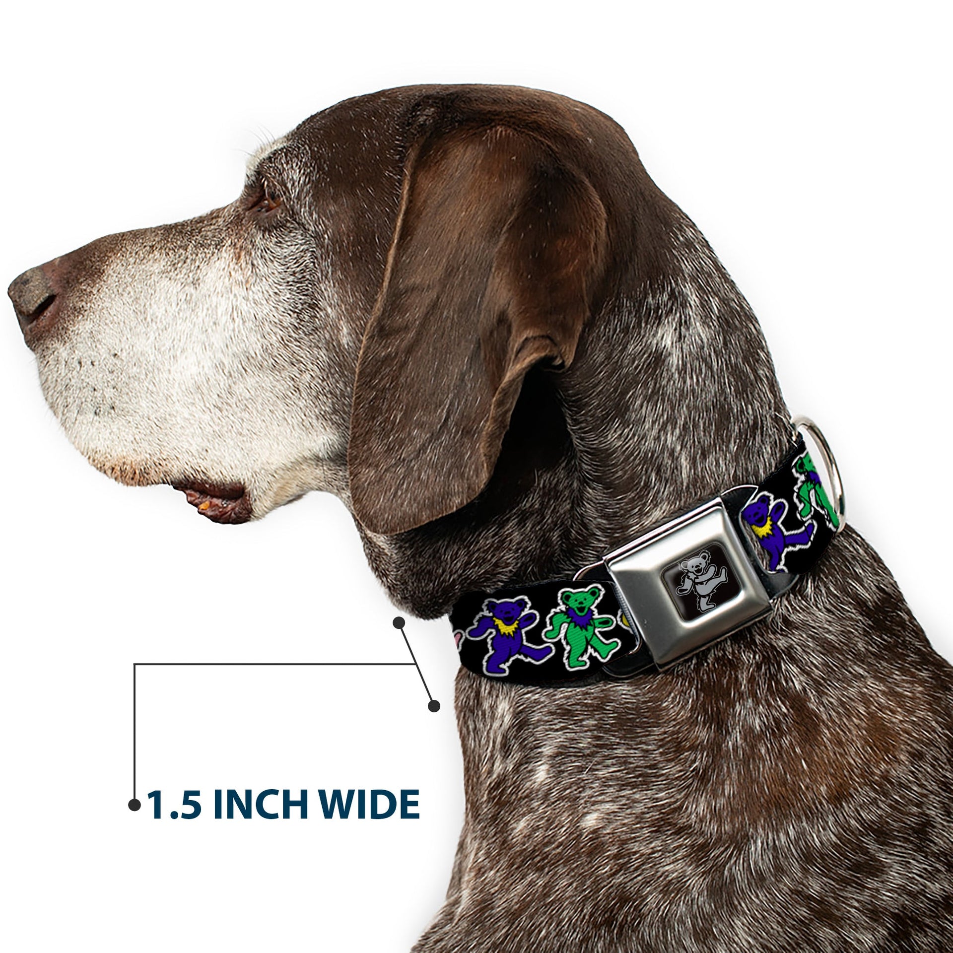 Grateful Dead Seatbelt Buckle Pet Collar | Rainbow Dancing Bears (Dancing Bear Buckle)