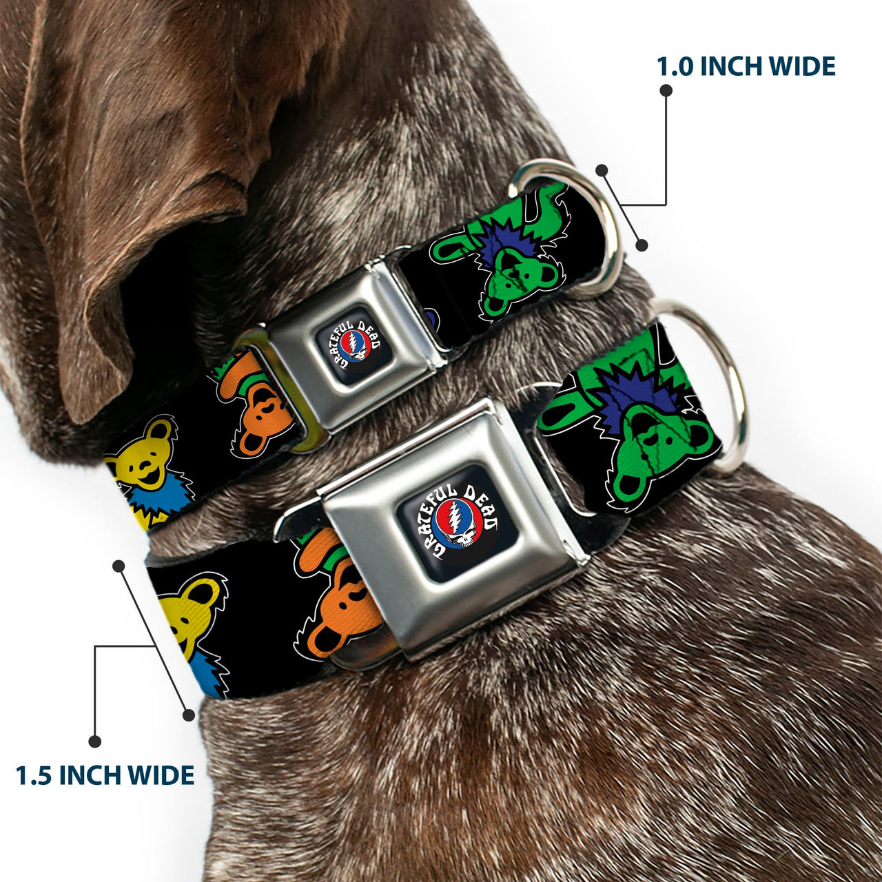 Grateful Dead Seatbelt Buckle Pet Collar | Rainbow Dancing Bears (Steal Your Face Buckle)