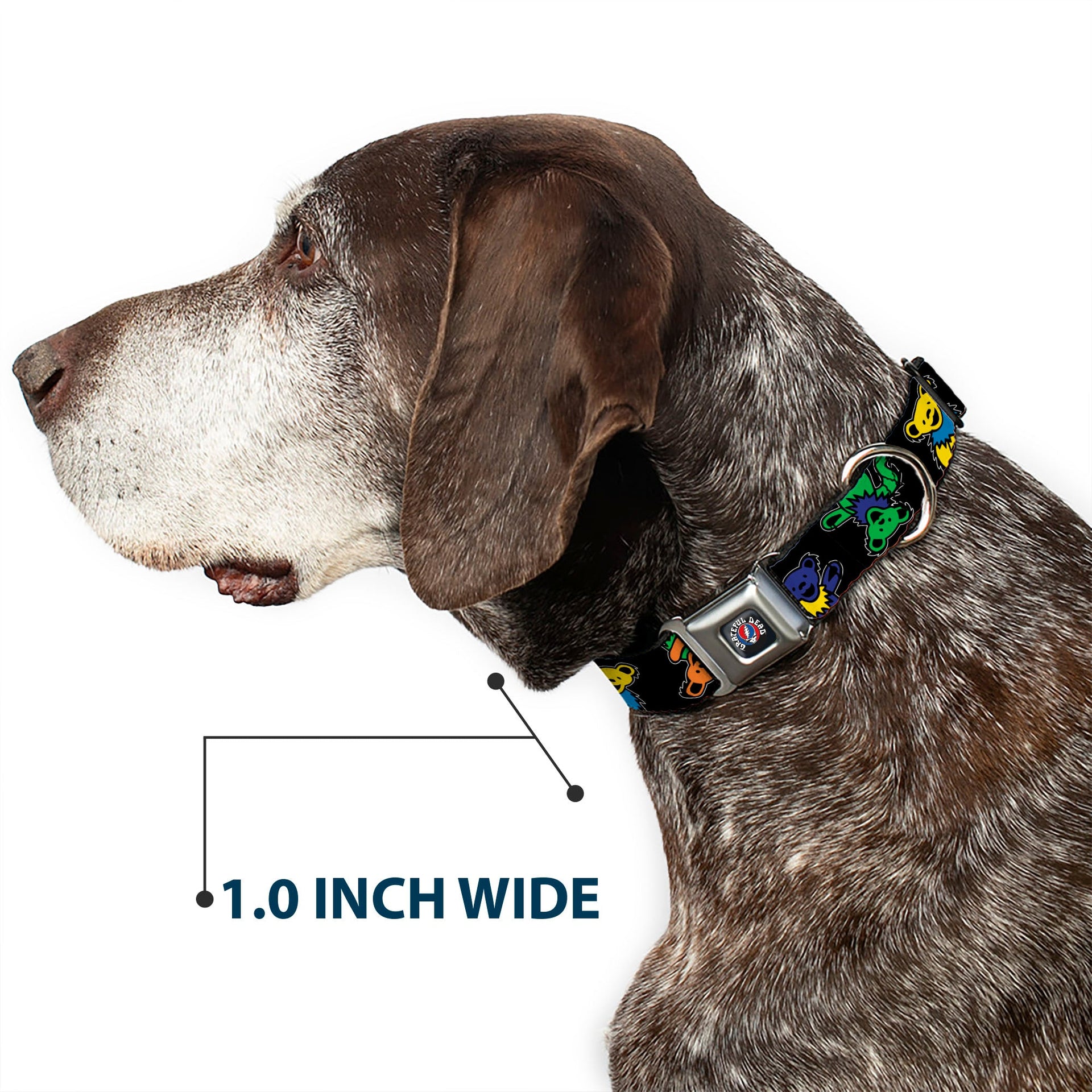 Grateful Dead Seatbelt Buckle Pet Collar | Rainbow Dancing Bears (Steal Your Face Buckle)