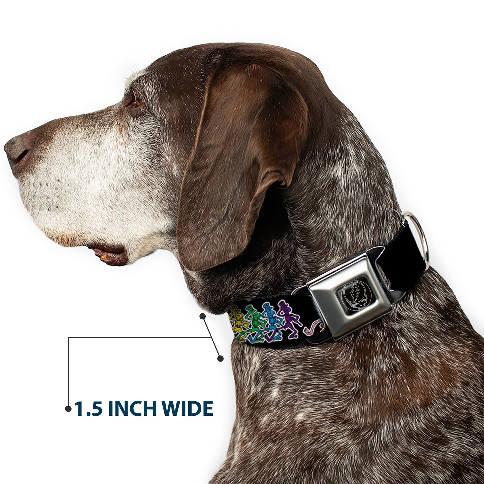 Grateful Dead Seatbelt Buckle Pet Collar | Rainbow Dancing Skeletons (Steal Your Face Buckle)