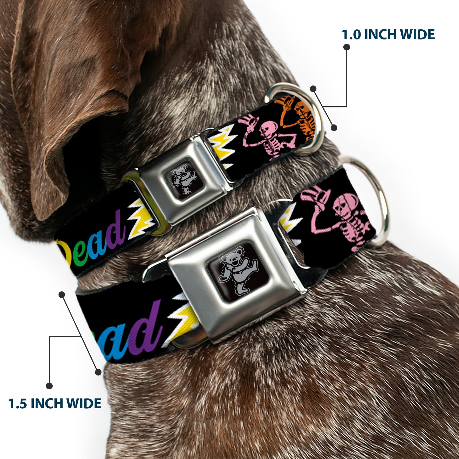 Grateful Dead Seatbelt Buckle Pet Collar | Rainbow Script Text with Dancing Bears + Skeletons (Dancing Bear Buckle)