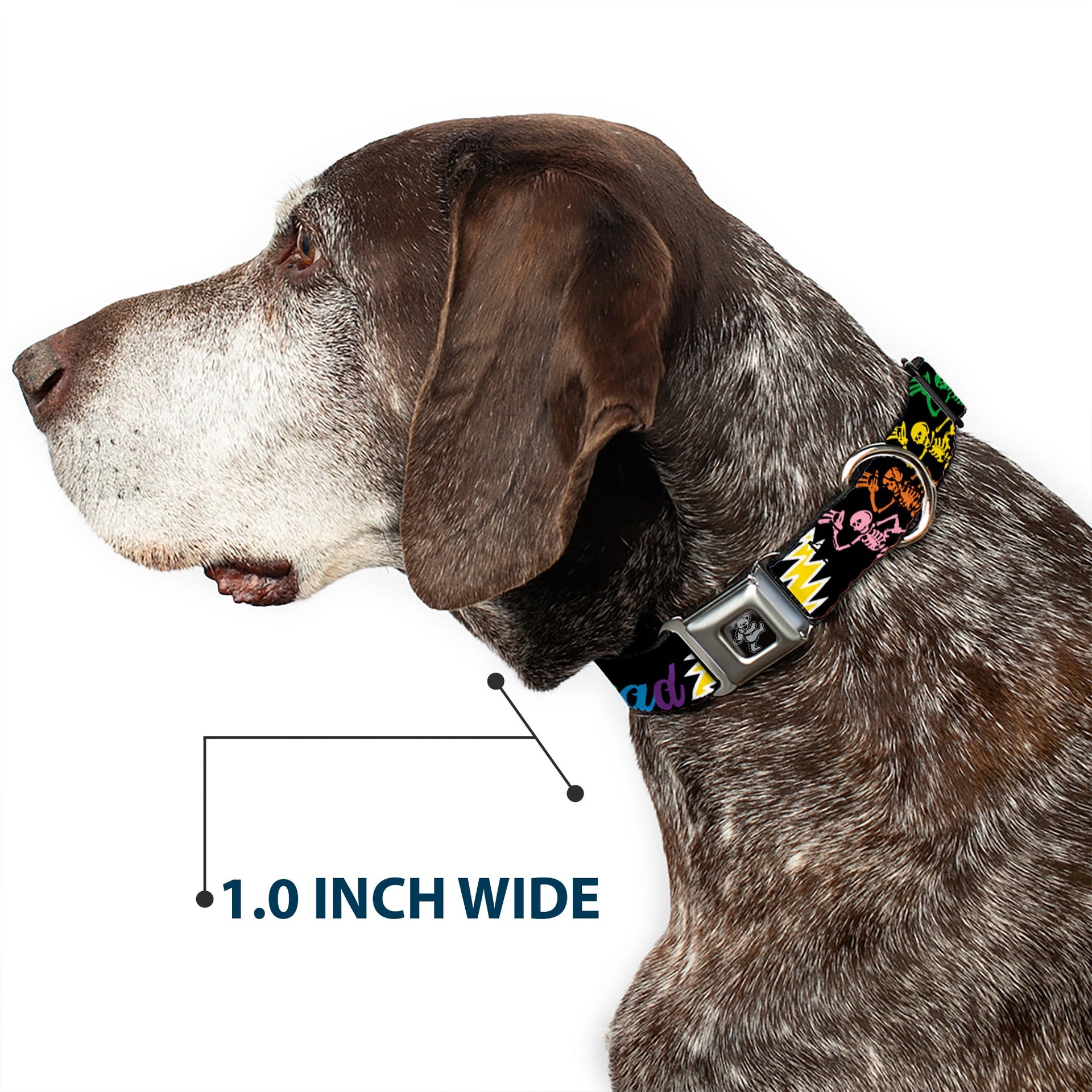 Grateful Dead Seatbelt Buckle Pet Collar | Rainbow Script Text with Dancing Bears + Skeletons (Dancing Bear Buckle)