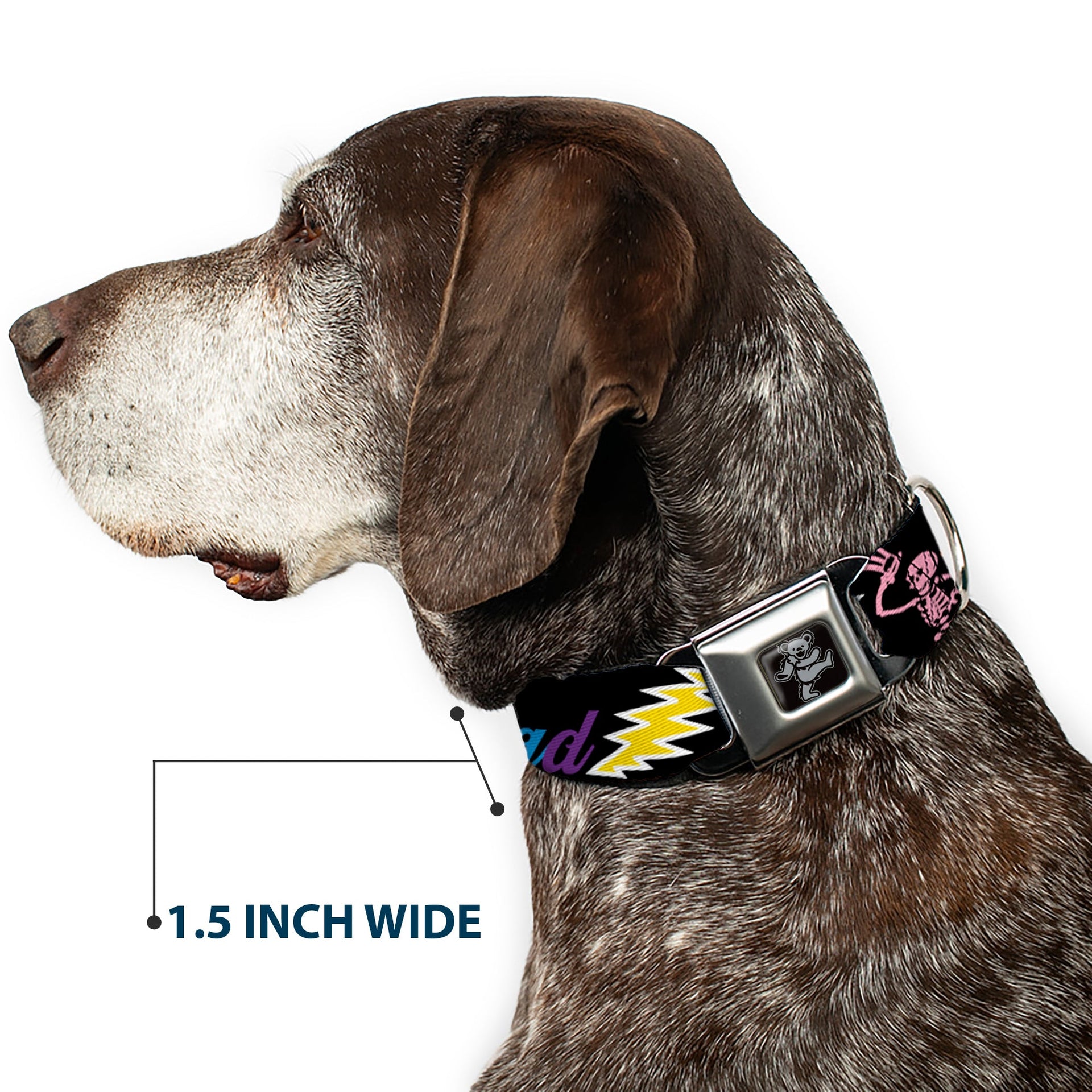 Grateful Dead Seatbelt Buckle Pet Collar | Rainbow Script Text with Dancing Bears + Skeletons (Dancing Bear Buckle)