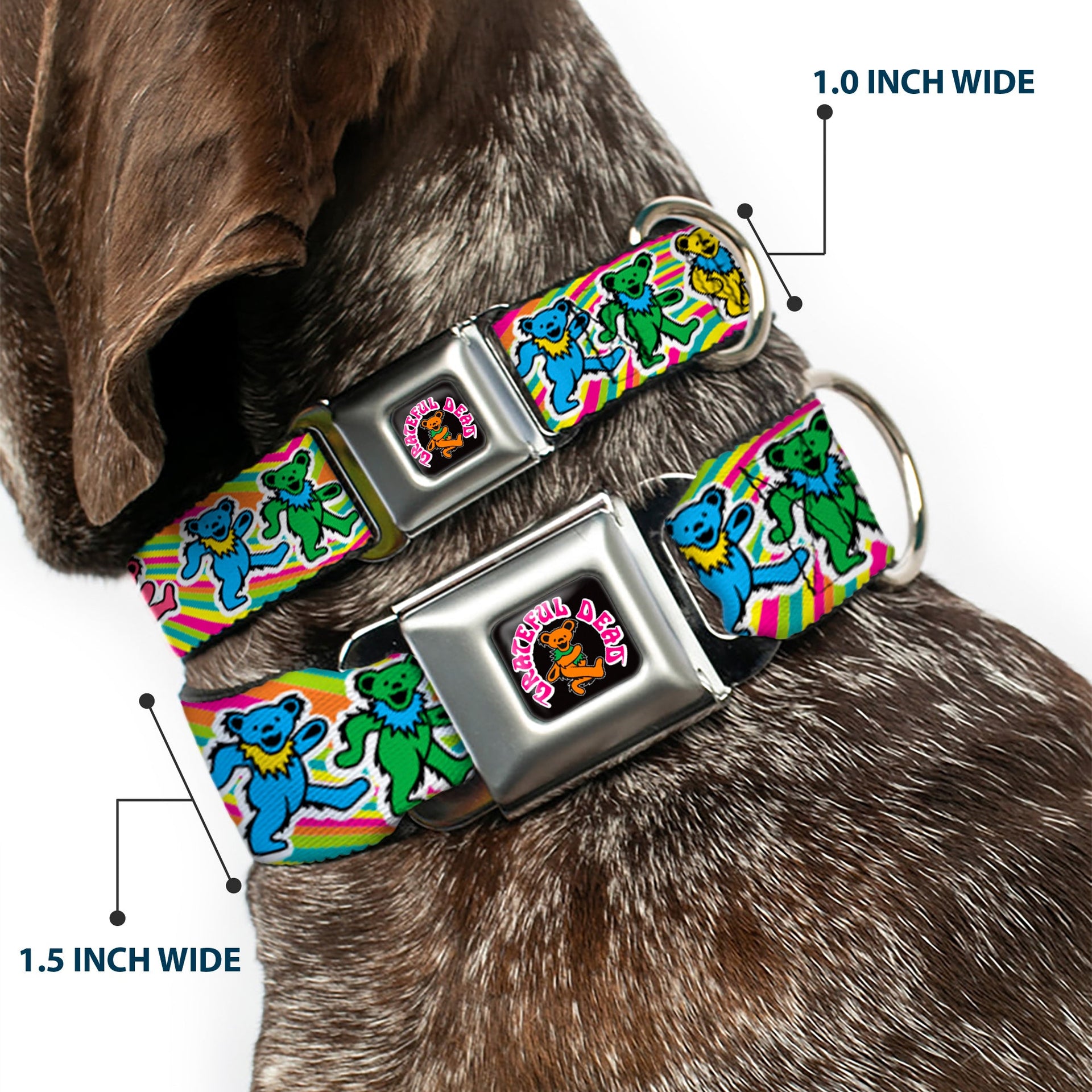 Grateful Dead Seatbelt Buckle Pet Collar | Rainbow Tie Dye Swirl Dancing Bears (Dancing Bear Buckle)