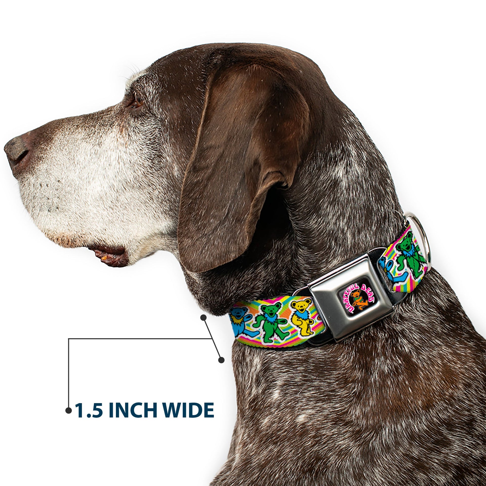 Grateful Dead Seatbelt Buckle Pet Collar | Rainbow Tie Dye Swirl Dancing Bears (Dancing Bear Buckle)